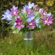 Clematis Lavender 3 Flowers 70cm - C028 D2