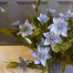 Galaxy Clematis Pale Blue 78cm - C005 C4