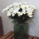 Fleur Artificial Cosmos White 74cm - C211 A4