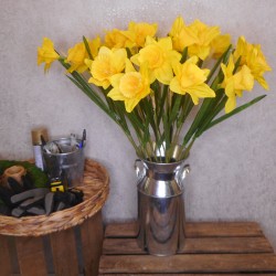 Large Yellow Silk Daffodil 65cm - D010 D3