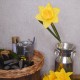 Large Yellow Silk Daffodil 65cm - D010 