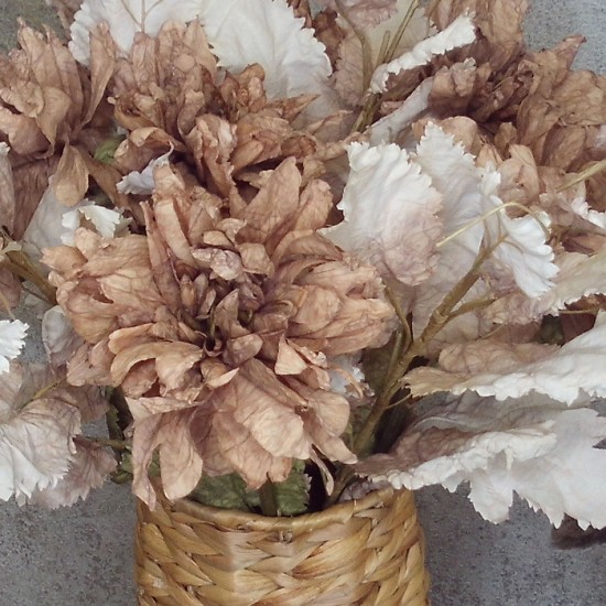 Antique Dahlia Cappuccino Cream 65cm | Faux Dried Flowers - D192 D1