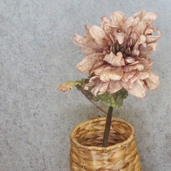 Antique Dahlia Cappuccino Cream 65cm | Faux Dried Flowers - D192 D1