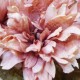 Antique Dahlia Dusky Pink 65cm | Faux Dried Flowers - D188 BX18