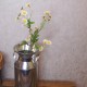 Mini Garden Daisies Stem 63cm - D076 DD3