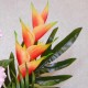 Heliconia Red 91cm - H200 