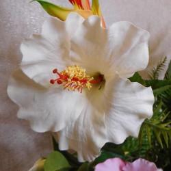 Artificial Hibiscus Spray White 81cm - H150 