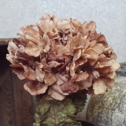 Antique Hydrangea Cappuccino 52cm | Faux Dried Flowers - H190 E3