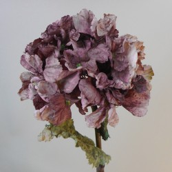 Antique Hydrangea Aubergine 76cm | Faux Dried Flowers - H197 D3