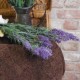 Artificial Wild Lavender Plants Purple Flowers 62cm - L012 I3