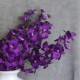 Artificial Dendrobium Orchid Flowers Purple 82cm - O102 J2