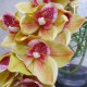 Real Touch Artificial Cymbidium Orchid Green 70cm - O019 LL4