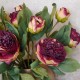 Antique Peony Burgundy | Faux Dried Flowers 50cm - P068 LL3