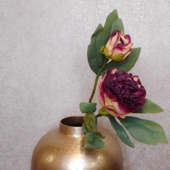 Antique Peony Burgundy | Faux Dried Flowers 50cm - P068 LL3