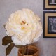 Antique Peony Cream | Faux Dried Flowers 76cm - P082 L4