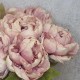 Antique Peony Nude Pink 48cm | Faux Dried Flowers - P033 K3