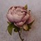 Antique Peony Vintage Mauve 48cm | Faux Dried Flowers - P046 J3