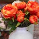 Artificial Peony Flowers Orange 50cm - P218 J4