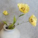 Wild Poppies Yellow 70cm - P069 K2