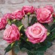 Artificial Button Roses Stem Dark Pink 40cm - R684 