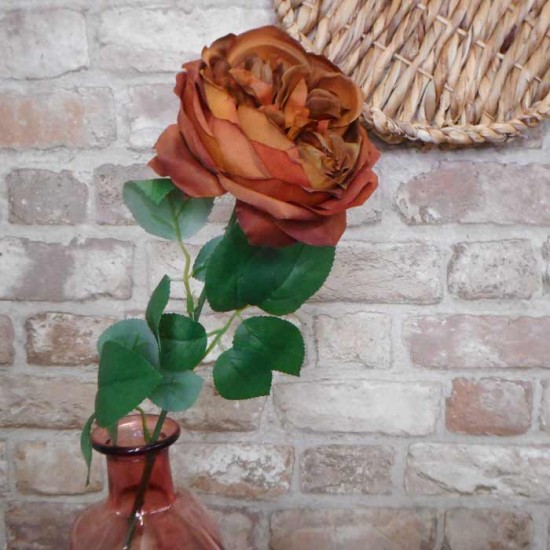 Artificial Cabbage Rose Chestnut Brown 60cm - R779 N2