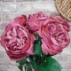 Artificial Cabbage Rose Dark Dusky Pink 60cm - R780 O2