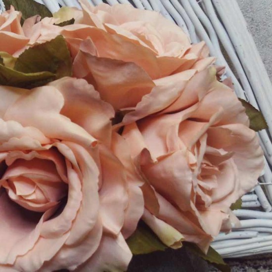 Artificial English Roses Bundle Blush Pink Peach 24cm - R484 P2