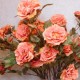 Artificial Roses Spray Apricot Floribunda 80cm - R504 BX12