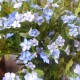 Artificial Wild Flowers Blue 66cm - W027 N3