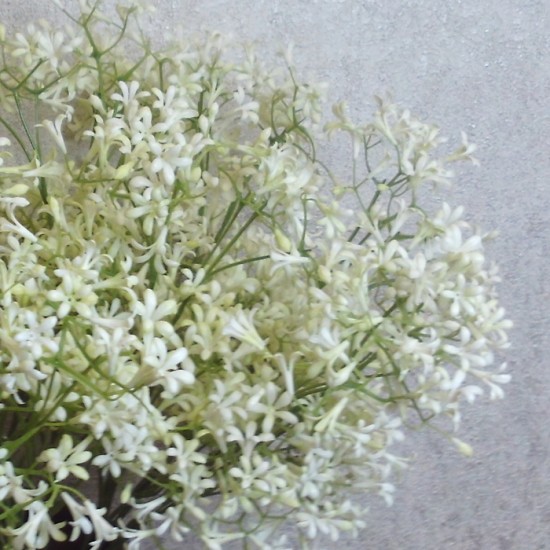 Mini Wild Flowers White - W003 S3