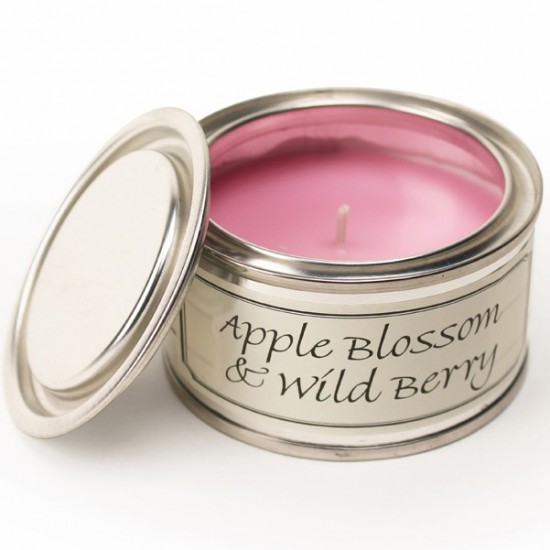 Pintail Paint Pot Candles | Apple Blossom & Wild Berry Fragrance - CA017