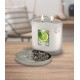 Heart and Home Ellipse Twin Wick Candle Lime Splash 230g - HH088