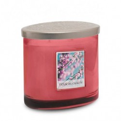 Heart and Home Ellipse Twin Wick Candles Pink Blossom 230g - HH012