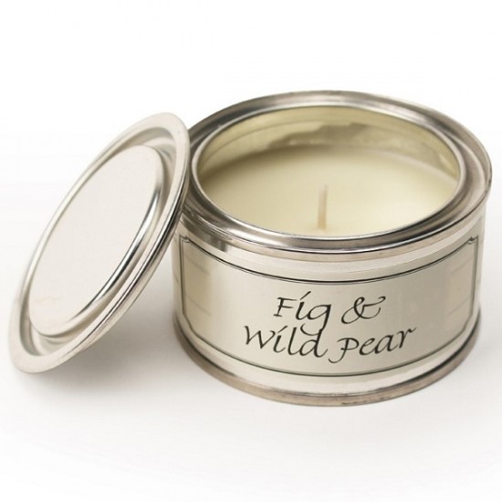 Pintail Paint Pot Candles | Fig & Wild Pear Fragrance - CA005