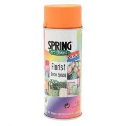 Euro Aerosols Floristry Spray Paint 400ml Orange Peel - PAI001