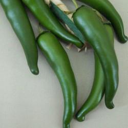 Artificial Chillies Green - CHI001 GG2