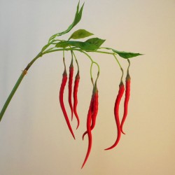 Artificial Chillies on Long Stem Red - CHI003 HH4