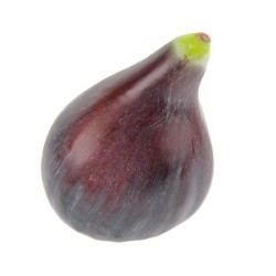 Artificial Fig - FIG500 