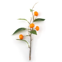Artificial Oranges Branches 38cm - ORA501 GS3D