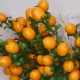Mini Artificial Lemons Stems 42cm - LEM510 