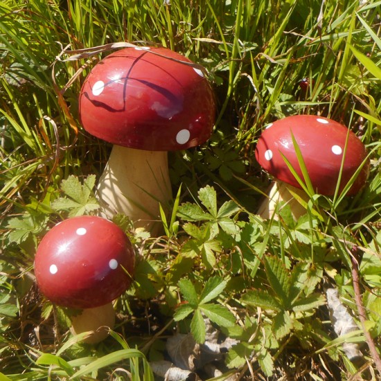 Wooden Mushroom or Toadstool 15.5cm - MUS003 2B