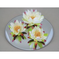 Mirror Plates