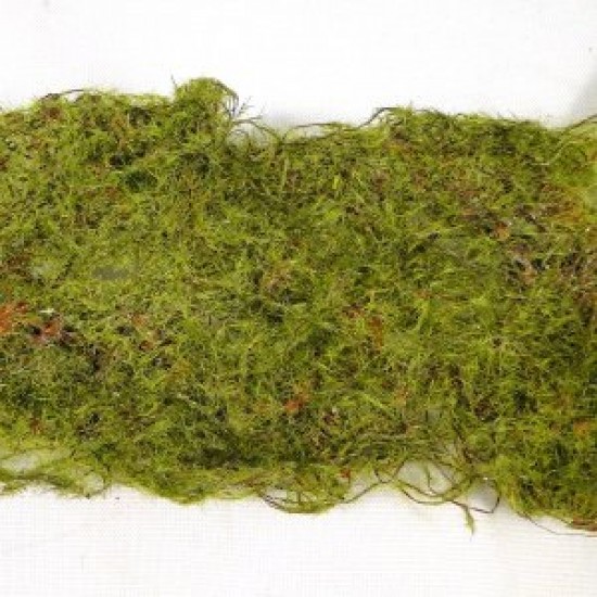 Moss Roll Green 6cm x 90cm - MOS005 
