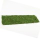 Moss Sheet Rectangle Green 58cm - MOS013 