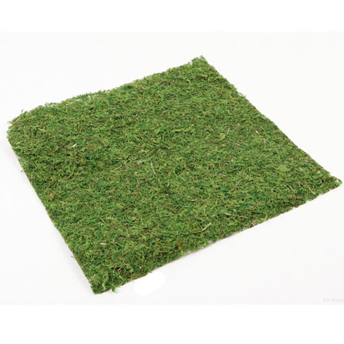 Reindeer Moss | Preserved Moss | Moss Sheets | Florists Supplies