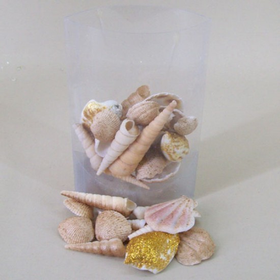 Sea Shells Gold Mix - SHE006