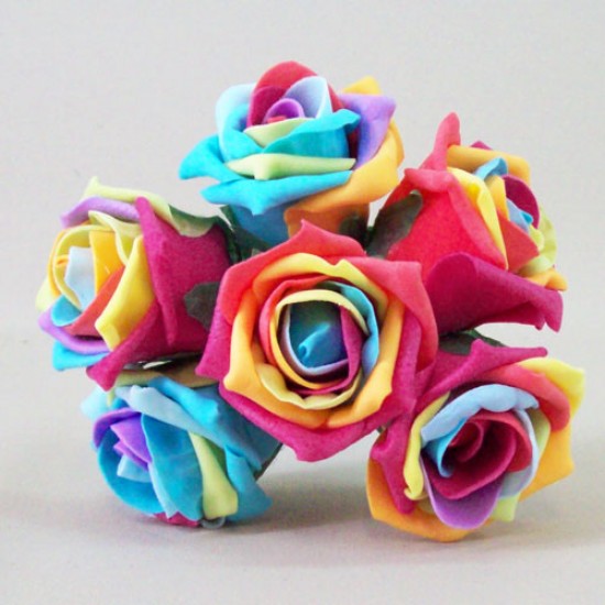Rainbow Roses x6 Foam. 