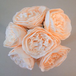 Colourfast Foam Peony Roses Summer Melon 6 pack 21cm - R717 BX20