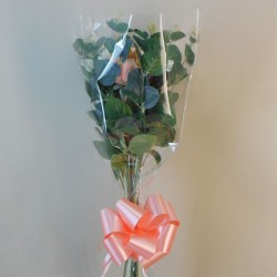 Silk Flowers Gift Bouquet Roses and Gerberas Peaches and Cream - ABV041