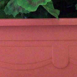 Artificial Garden Window Boxes Cream Geraniums - PLA003